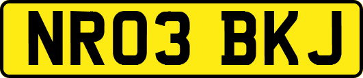 NR03BKJ