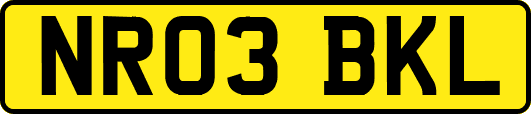 NR03BKL