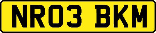NR03BKM