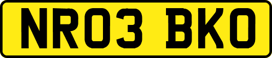 NR03BKO