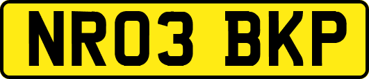 NR03BKP
