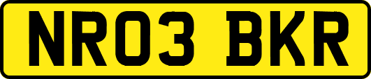 NR03BKR
