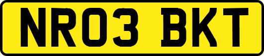 NR03BKT