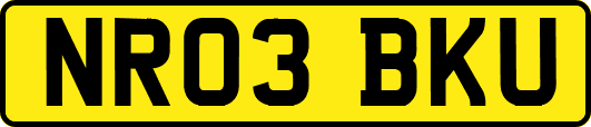NR03BKU