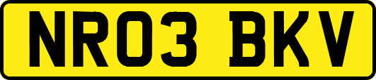 NR03BKV