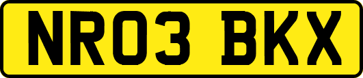 NR03BKX