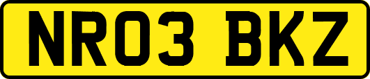 NR03BKZ