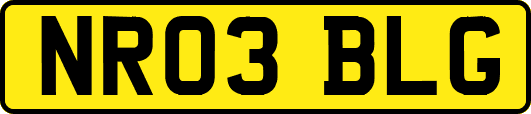 NR03BLG