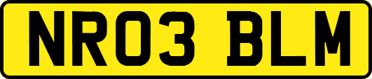 NR03BLM