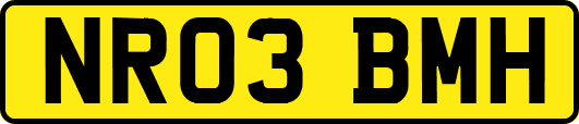 NR03BMH