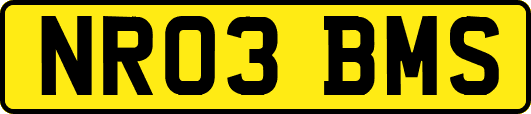 NR03BMS