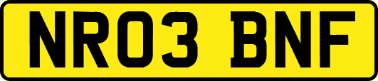 NR03BNF