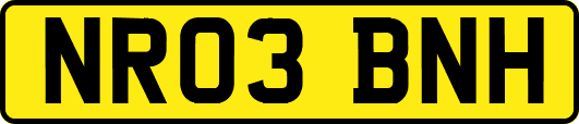 NR03BNH