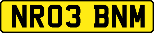 NR03BNM