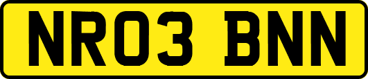 NR03BNN