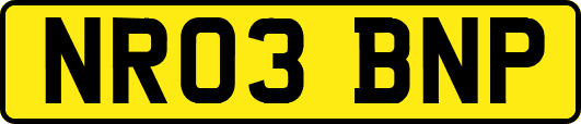 NR03BNP