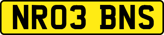 NR03BNS