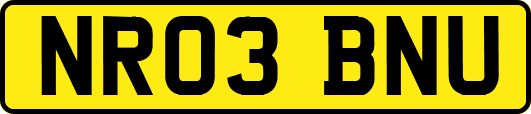 NR03BNU