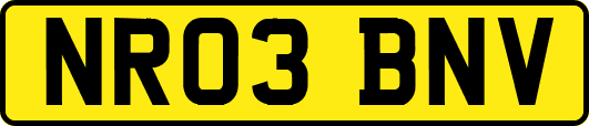 NR03BNV