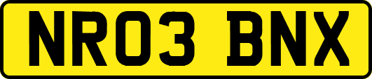 NR03BNX