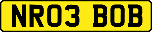 NR03BOB