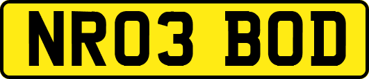 NR03BOD