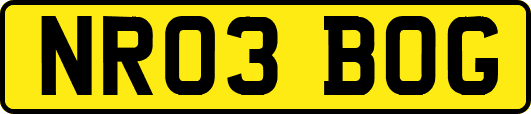 NR03BOG