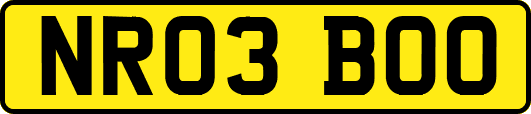 NR03BOO
