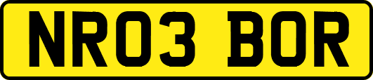 NR03BOR