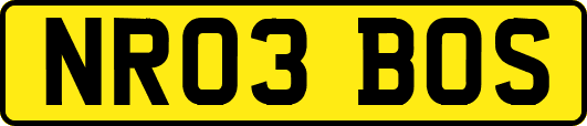 NR03BOS