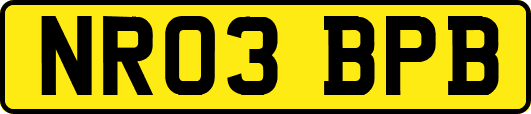 NR03BPB