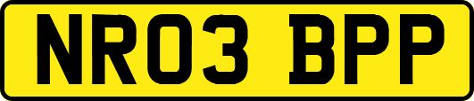 NR03BPP