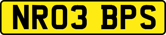NR03BPS