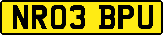 NR03BPU