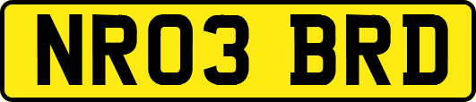 NR03BRD