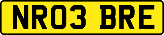 NR03BRE