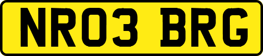 NR03BRG