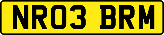 NR03BRM