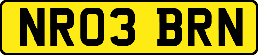 NR03BRN
