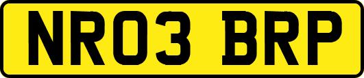 NR03BRP