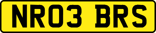 NR03BRS