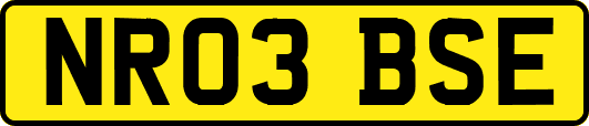 NR03BSE
