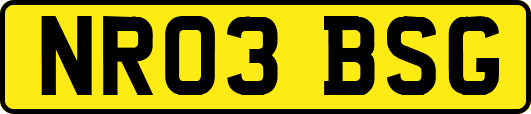 NR03BSG