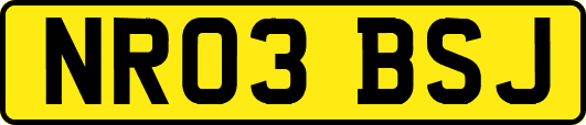 NR03BSJ