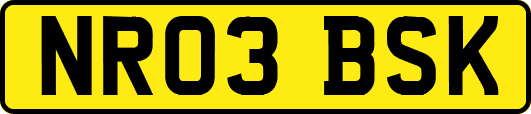 NR03BSK