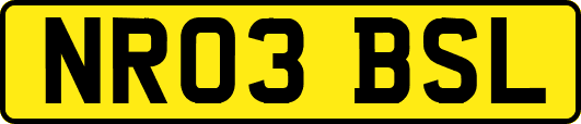 NR03BSL