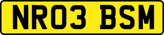 NR03BSM