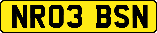 NR03BSN