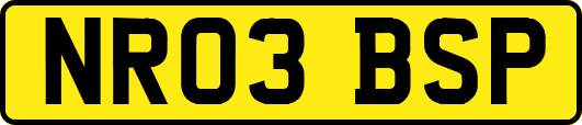 NR03BSP