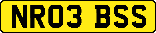 NR03BSS